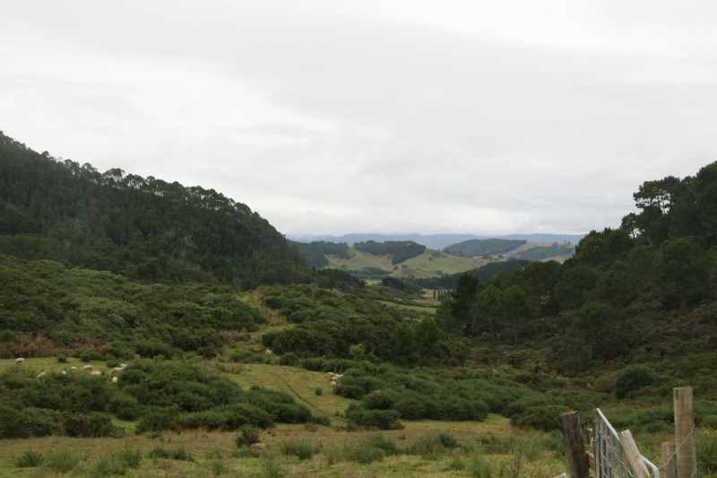 Nieuw-Zeeland 2011 - 0460